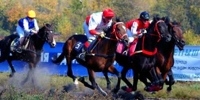 Сегодня в Хакасии на ипподроме пройдут соревнованиях конников