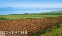 В Хакасии фермеры тайно использовали пестициды и химикаты