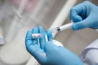 Прививочная кампания против гриппа стартовала в Хакасии