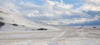 Косули и облачные картины: белоснежный ковёр укрыл заповедные степи Хакасии