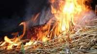 В Аскизском районе горело сено