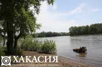 Кадастровая палата по Республике Хакасия примет участие в экологической акции «Сохраним родной край»
