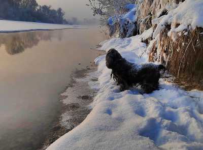 Морозное утро попало в кадр молодого фотографа из Хакасии
