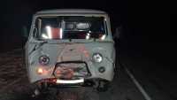 Водитель и пассажир УАЗа получили переломы после столкновения с коровой