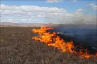 В Хакасии в девять раз выросло число степных пожаров