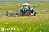 В Хакасии обработали поля от гусениц