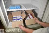 Жители Хакасии получат дополнительные дни отдыха после прививки от COVID-19