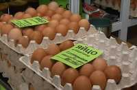 Цены на куриные яйца в Хакасии продолжают расти