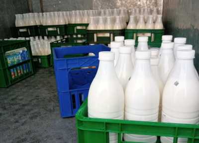 Подозрительное молоко из Минусинска хотели продать в Абакане
