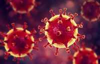 Россия вошла в топ-10 по числу заболевших коронавирусом