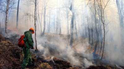 В Хакасии загорелся памятник природы