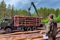Заготовкой леса в Хакасии будут заниматься 10 предпринимателей