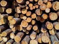 В Хакасии семьям участников СВО привозят дрова