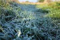 Синоптики прогнозируют заморозки в Хакасии