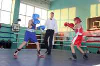 В Хакасии прошел региональный турнир по боксу