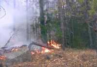 В Хакасии локализован лесной пожар