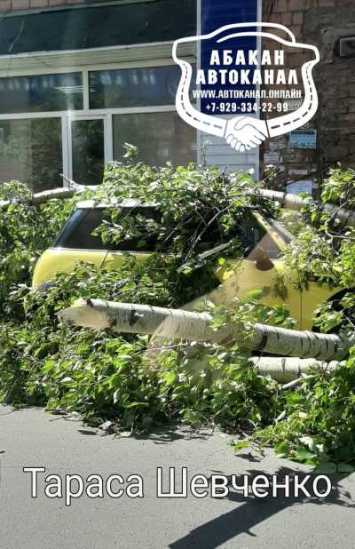 Ураганный ветер уронил деревья на машины и дороги в Абакане