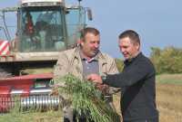 Урожай нынче знатный, считают главный инженер ООО «Целинное» Сергей Лихтенвальд и механизатор Александр Пинчук. 
