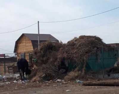 Жителям Хакасии разъяснили, что делать с растительными отходами
