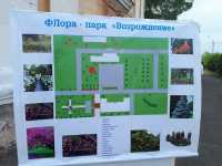 В школе-интернате Черногорска появился флора-парк