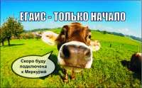 В Хакасии научат оформлять ветеринарные документы через Интернет