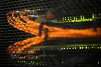 Компьютерные атаки: корпоративные секреты под угрозой