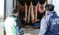 В Абакан везли 700 кг потенциально опасной свинины