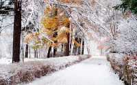 Очень сильный снег засыплет Хакасию