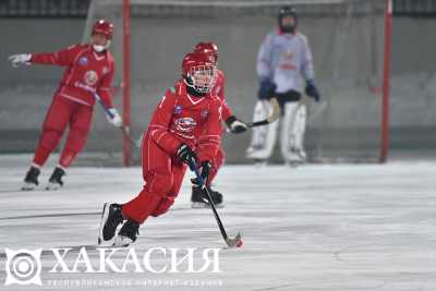 В Хакасии хоккеисты будут отрабатывать навыки на интерактивных тренажерах
