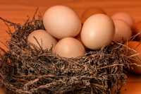 В Абакане хотели распродать подозрительные яйца