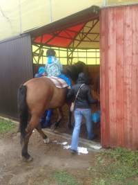 В «Теремке» деток лечат кони