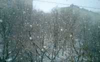 В Хакасии на ночь обещают снег