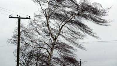 Энергетики Хакасии готовы бороться со штормовыми ветрами