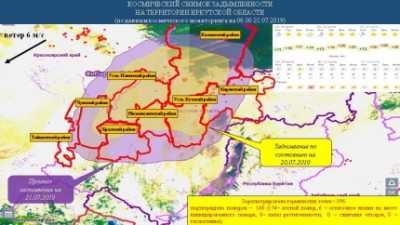 Площадь природных пожаров в Иркутской области составляет 217 тысяч гектаров