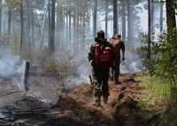 В Хакасии растет число ландшафтных и лесных пожаров