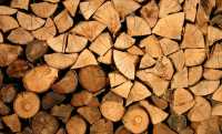 Проблемы лесозаготовки обсудили в Хакасии