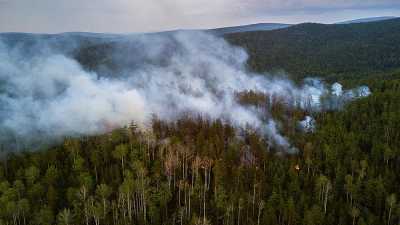 Лесные пожары зафиксированы в России на площади 100 тыс. га
