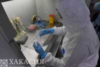Обновили данные по заболеваемости коронавирусом в Хакасии