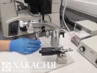 Лабораторно подтверждено 42 новых случая COVID-19 в Хакасии