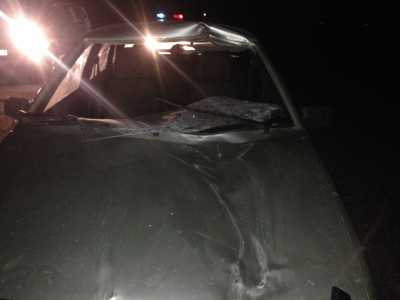В Хакасии водитель ВАЗа сбил светящуюся лошадь