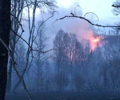 Лесной пожар чуть не добрался до жилья в Ширинском районе