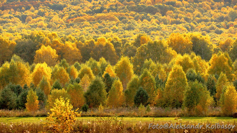 Горы осенью Хакасия