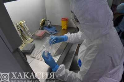 COVID-19 в Хакасии: количество заболевших вновь начало снижаться