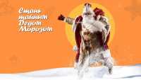 Жители Хакасии могут стать тайным Дедом Морозом