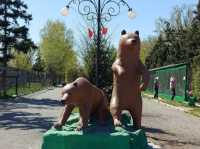 Абаканский зоопарк ждет фотографий с медведями