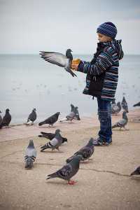 Голубь в руках ребёнка — жители Крыма голосовали за мирное будущее. 