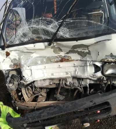 В Усть-Абаканском районе два водителя врезались в стадо буренок