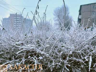 Туман и мороз: для Хакасии снег закончился