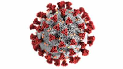Появилась информация по заболеваемости коронавирусом в Хакасии на 21 декабря