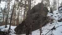 «Каменный лес» в Хакасии возьмут под охрану